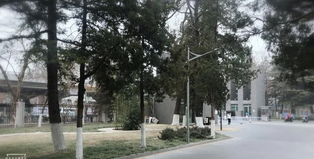 北京外国语大学学生_东北大学工科背景_北京外国语大学选择理由