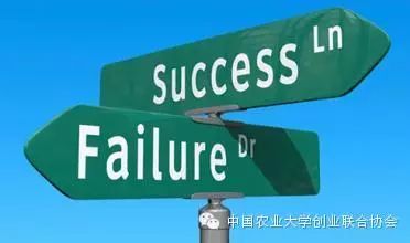 创业失败案例分析_大学创业失败案例_旅游行业倒闭原因