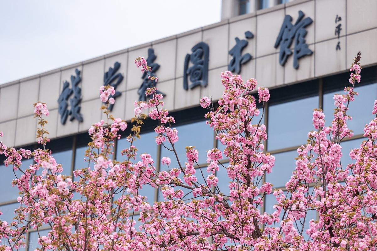 西安交通大学学生_西交大热门工科专业_西安交通大学王牌专业