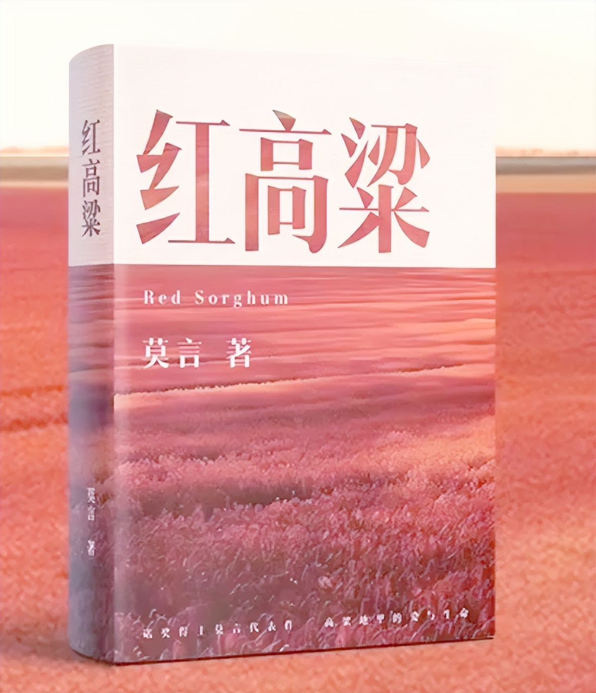 北京外国语大学教授_北京外国语学院教授_北京外国语大学教授年薪多少