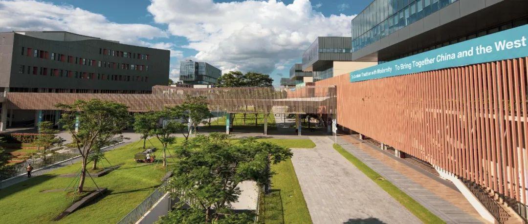 香港中文大学(深圳)创新人才培养_深圳国际化大学创新文化_港中大深圳