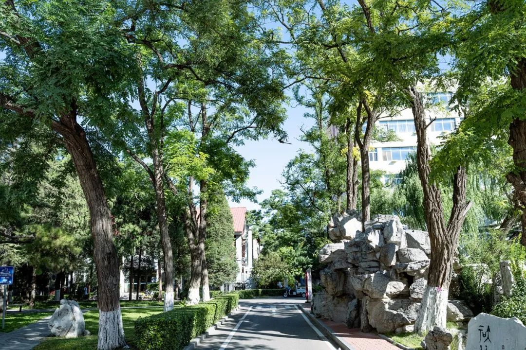 北京交通大学讲师_北京交通大学2024年非教学科研岗位招聘_北京交通大学辅导员招聘