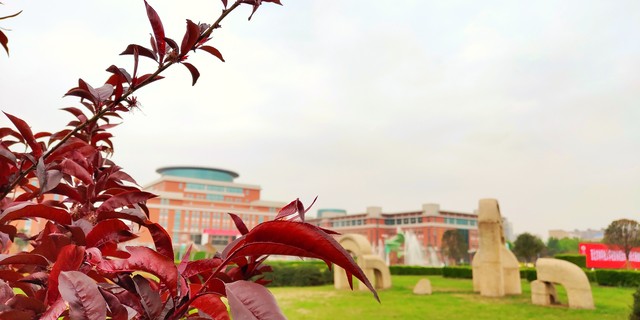 西北农林科技大学_西北农林科技大学 985大学评价 _ 西农学霸录取率 