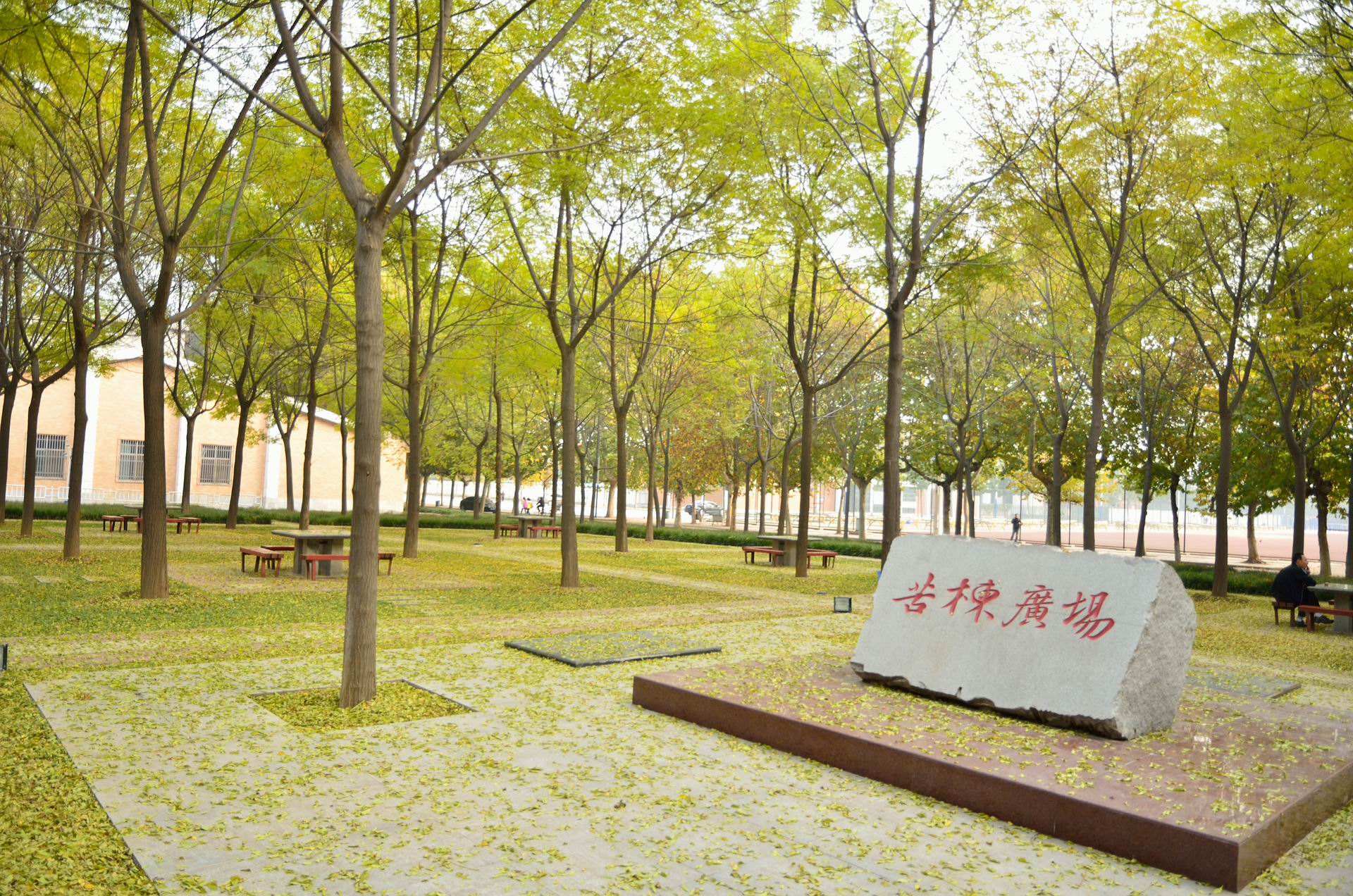 西北农林科技大学 985院校排名 _ 西北农林科技大学 学科实力评估 _西北农林科技大学