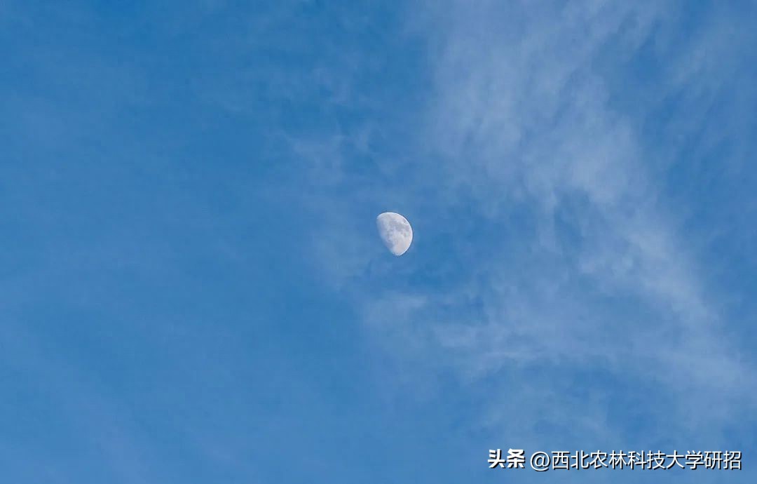 西北农林科技大学2023年硕士研究生招生考试答疑指南_2023年研招网排名查询_西北农林科技大学
