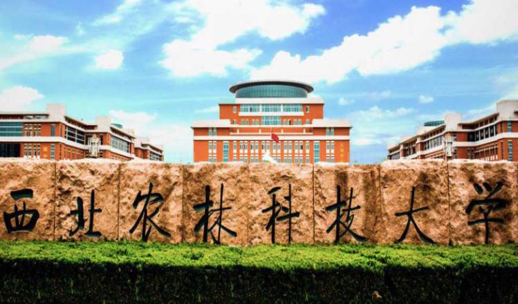 西北农林科技大学_西北农林科技大学985评价_西北农林科技大学学科评估