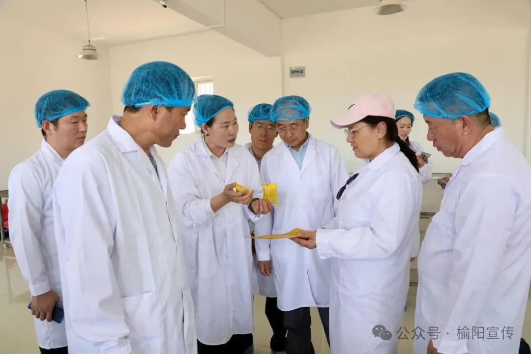 西北农林科技大学_西北农林科技大学_榆阳区“头雁”项目