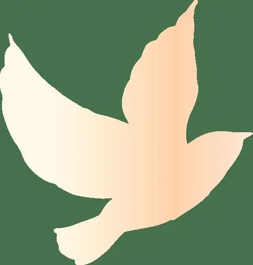 中国人民大学校友_人大90周年校庆资料征集_中国人民大学校友资料征集