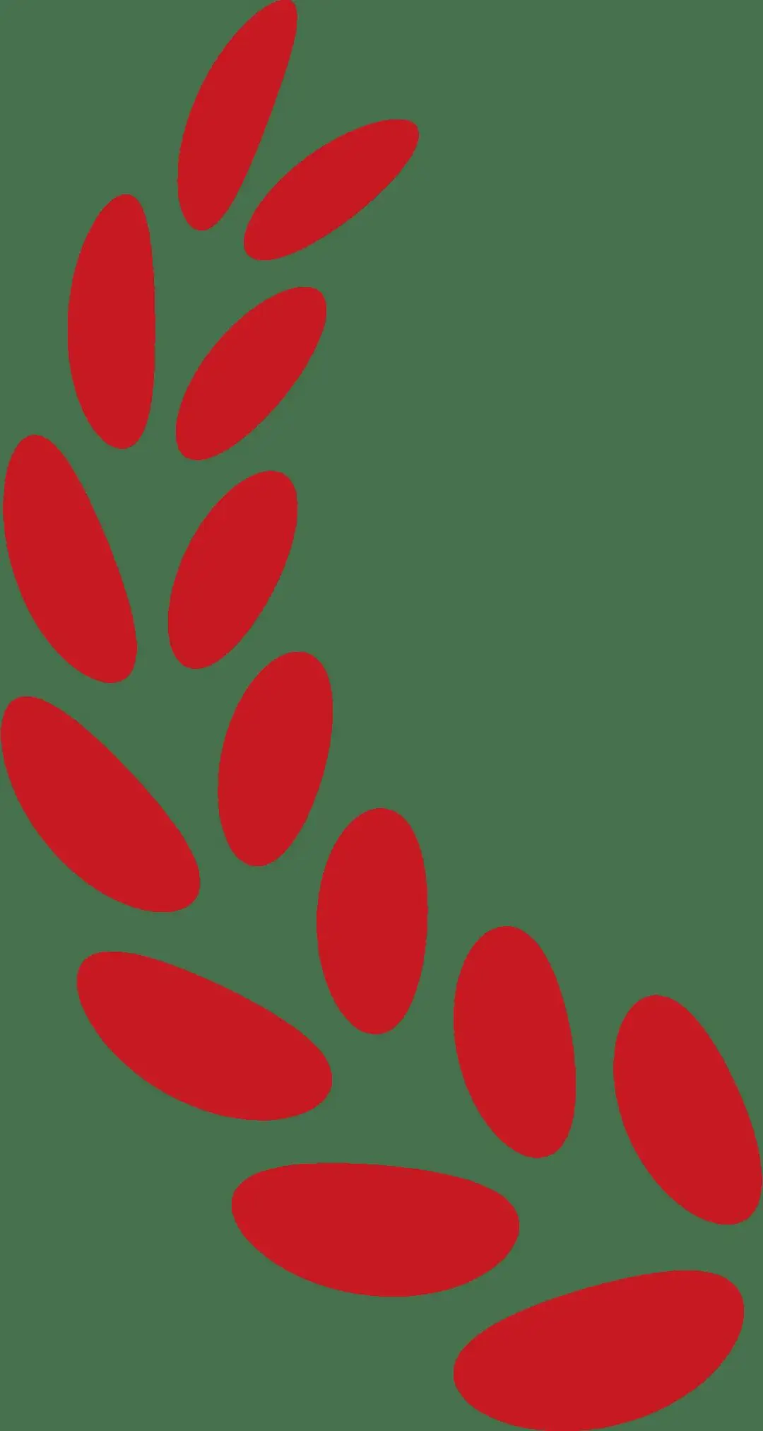 中国人民大学校友_人大90周年校庆资料征集_中国人民大学校友资料征集