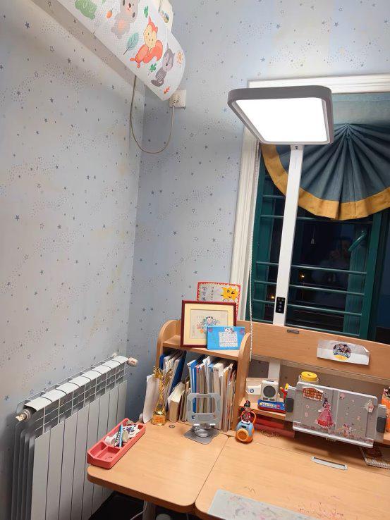 大路灯选购要点_大路灯护眼产品推荐_大路灯如何安装