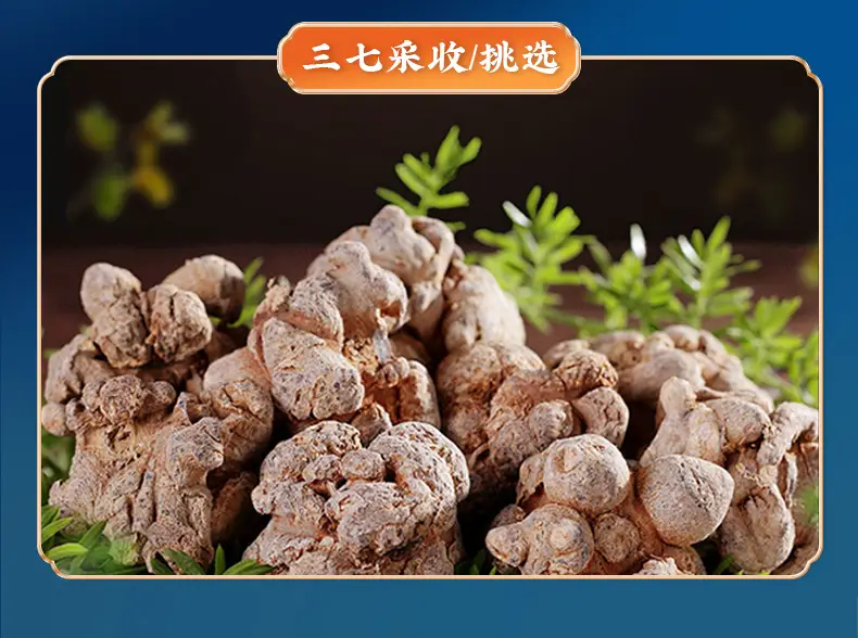 三七粉品质选择_云南文山三七粉推荐_怎么用破壁机打三七粉