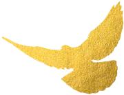 北京师范大学2019届校友返校活动_北师大2019秩年校友返校活动_北京师范大学校友