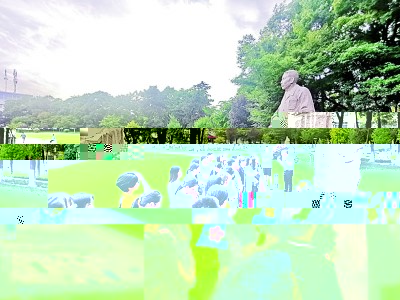 西北农林科技大学红色资源挖掘_西北农林科技大学_西北农林科技大学党史学习教育