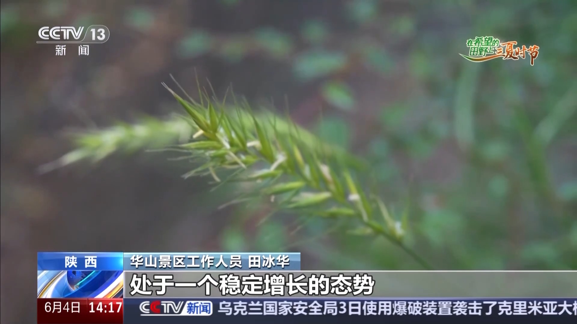 西北农林科技大学_西北农林科技大简介_西北科技农林大学是985吗