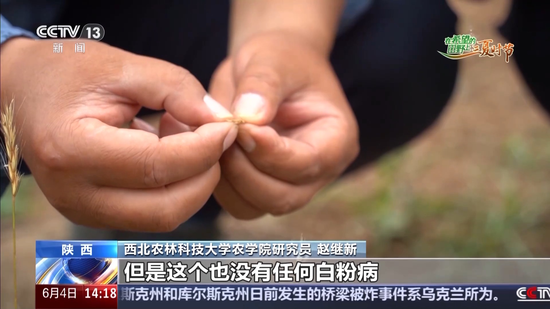 西北农林科技大简介_西北科技农林大学是985吗_西北农林科技大学