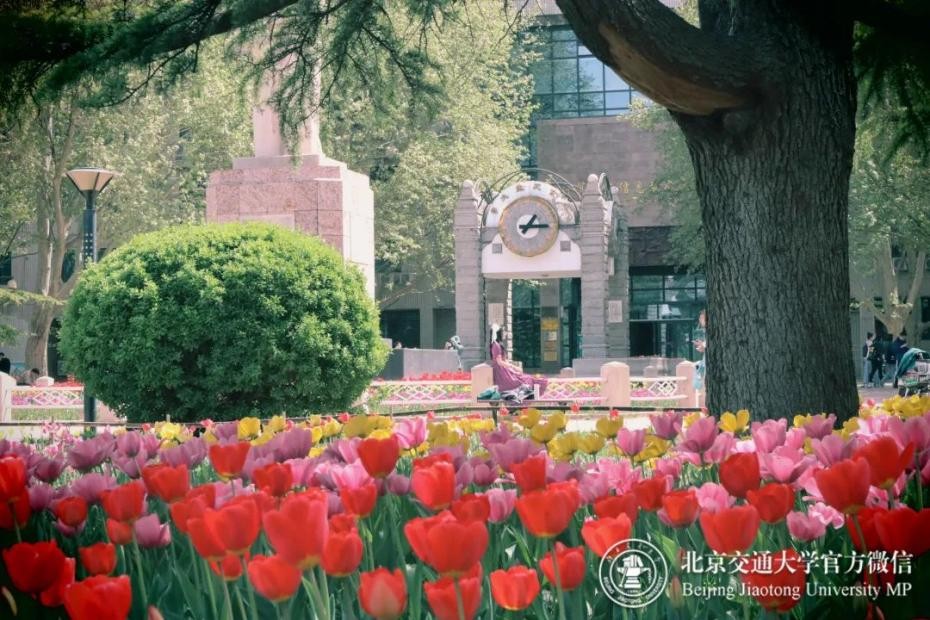 北京交通大学退役大学生士兵_北京交通大学学生_北交大优秀退役士兵故事