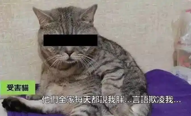 思维导图软件番茄钟_时间管理软件推荐_轻量化番茄钟工具