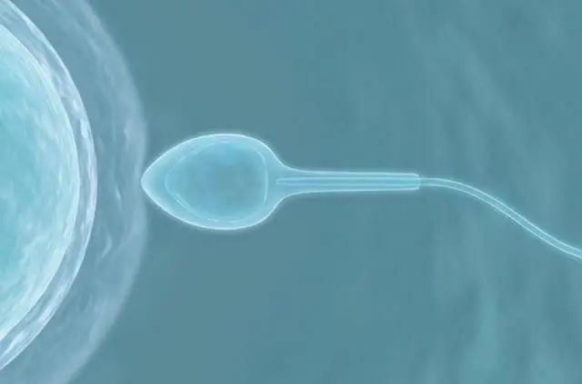 避孕贴多久可以行房_安全套使用不当破裂_安全套副作用过敏反应