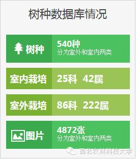 西北农林科技大学数字化树木园_西北农林科技大学_木本植物种质资源库