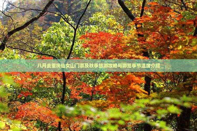 婚纱轻纱_婚纱轻纱是哪一种_轻婚纱
