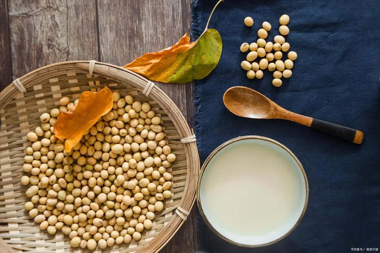 豆浆机与破壁机区别_豆浆机与破壁机打豆浆对比_豆浆机和破壁机哪个好