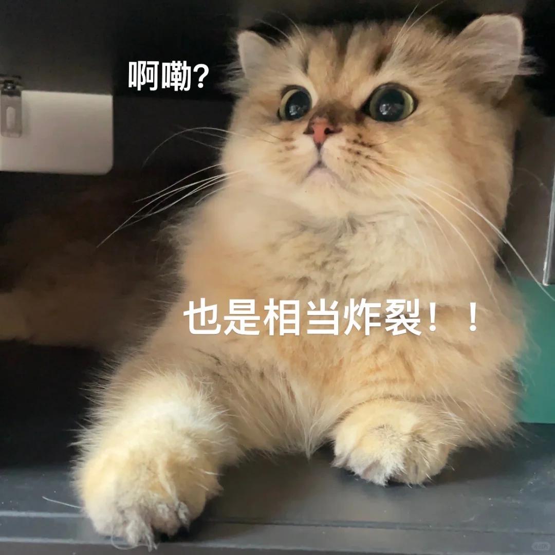破壁机 国外品牌_破壁机安全无毒选购指南_破壁机十大名牌排名