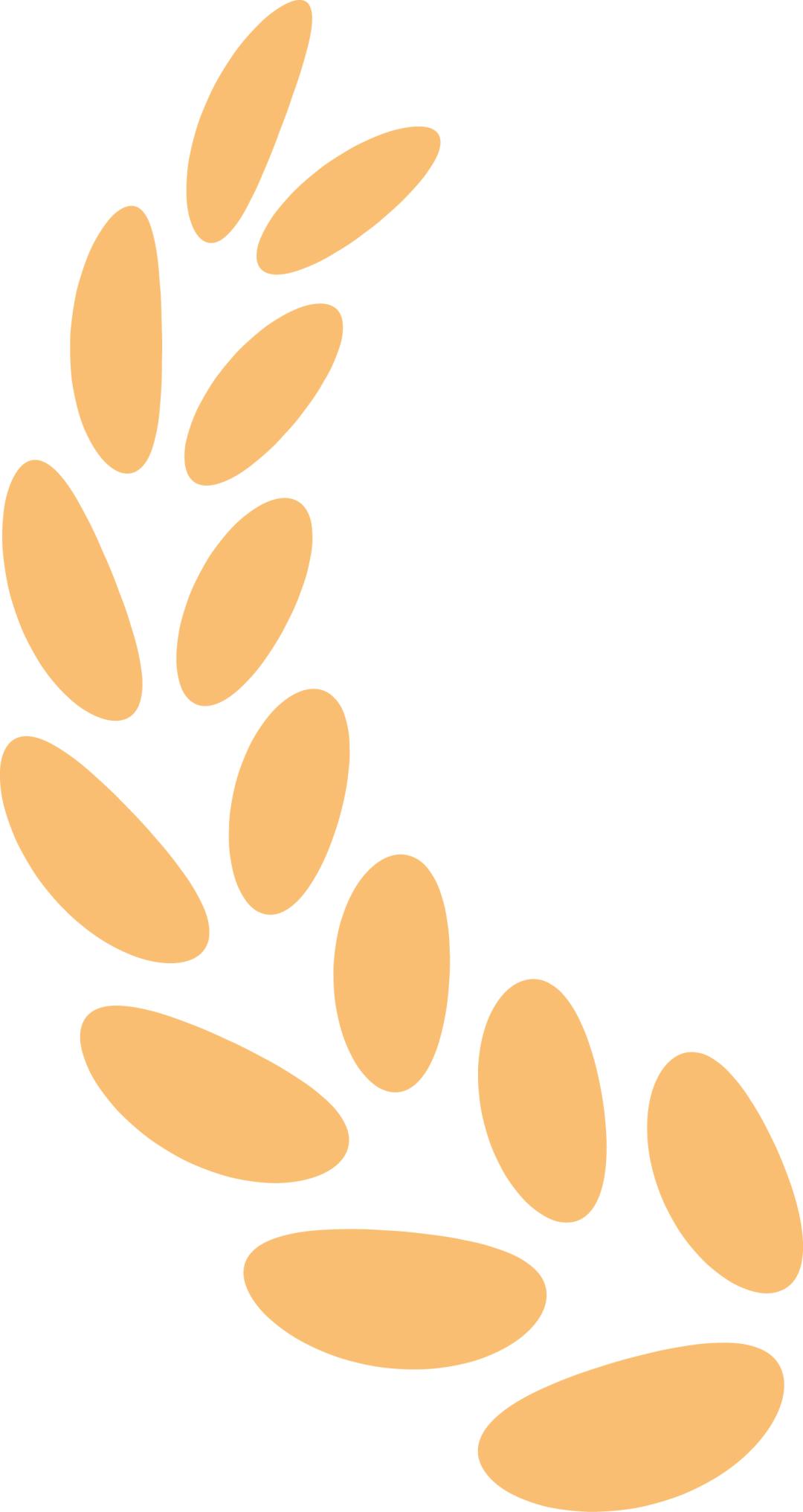 北京里的师范大学_北京师范大学校友_北京师范大学校友录