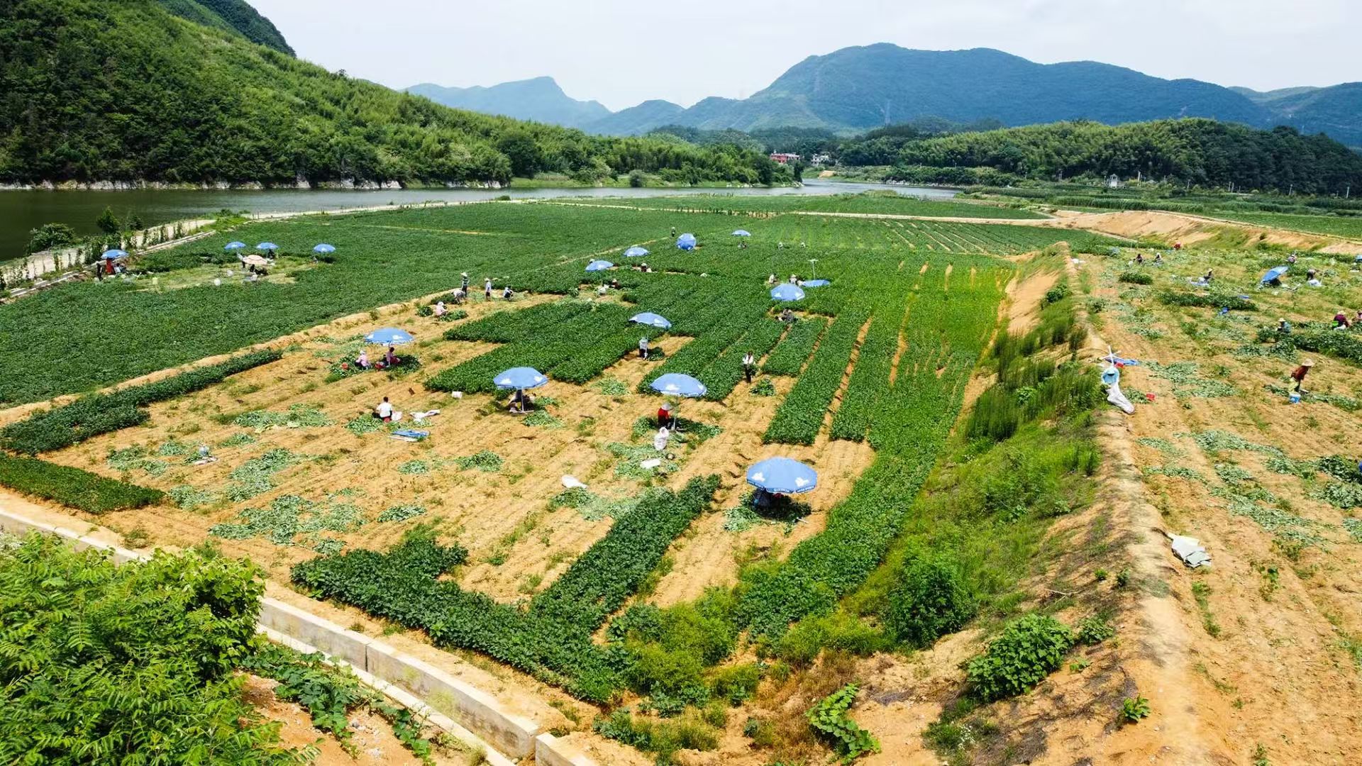 路灯实拍_大路灯体验_路灯场景