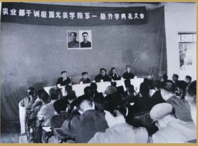 西北农林大学科技大学官网_西北农林科技大学_西北农林科技大学门户