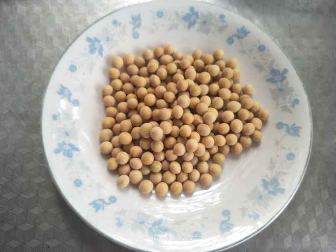 破壁机豆浆食谱_自制营养豆浆_破壁机食谱