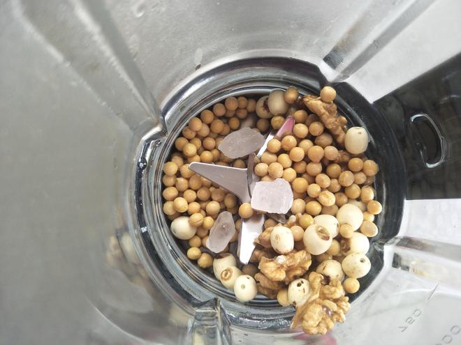 破壁机豆浆食谱_自制营养豆浆_破壁机食谱