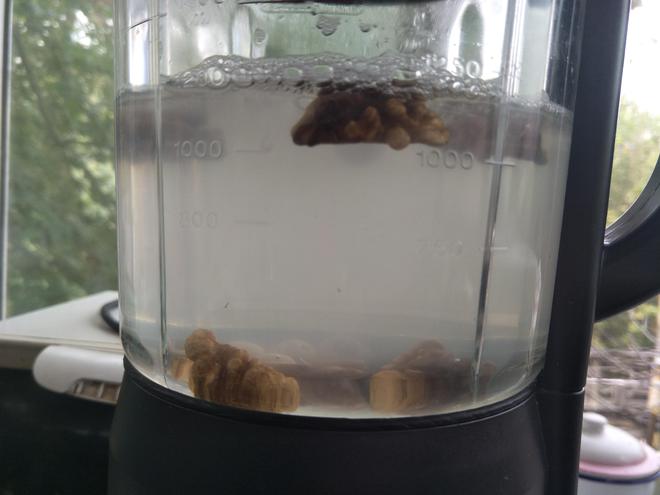 自制营养豆浆_破壁机豆浆食谱_破壁机食谱