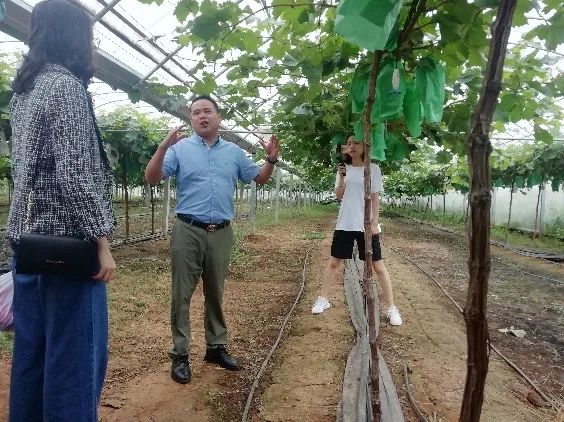 西北农林科技大学_ 杨凌企业参观 _西北农林科技大学暑期实习 