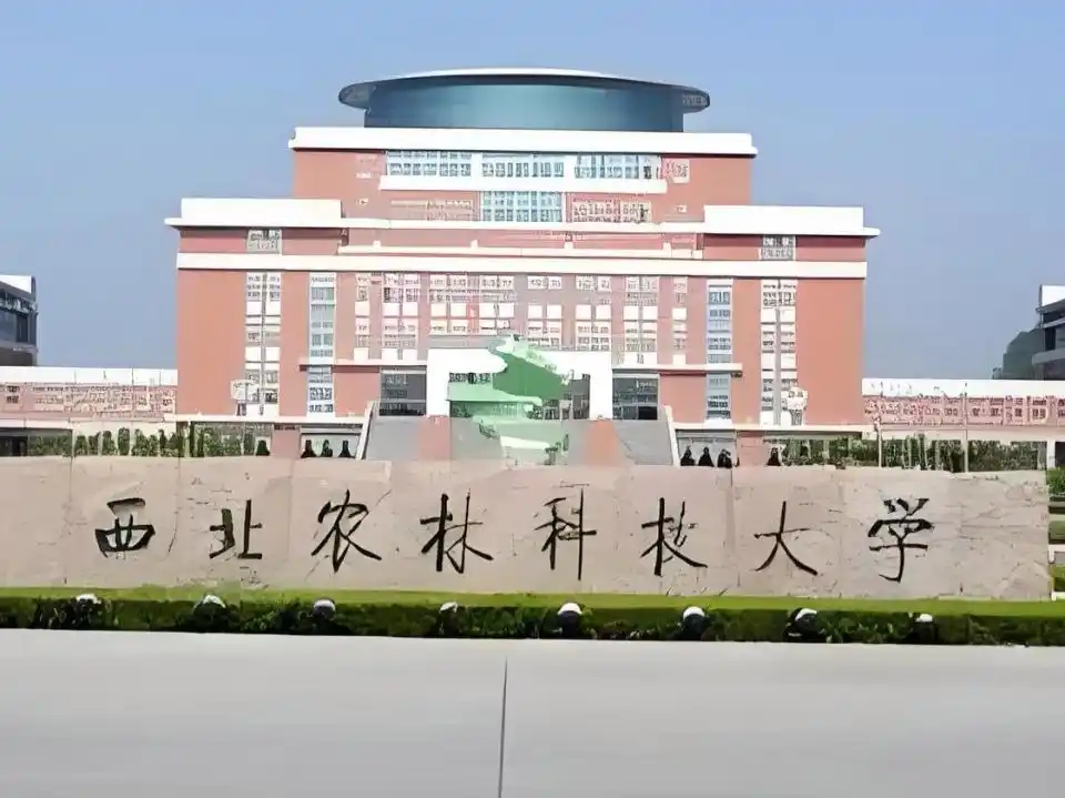 西北农林科技大学与南京农业大学对比_西北农林科技大学_985高校与211强校对比