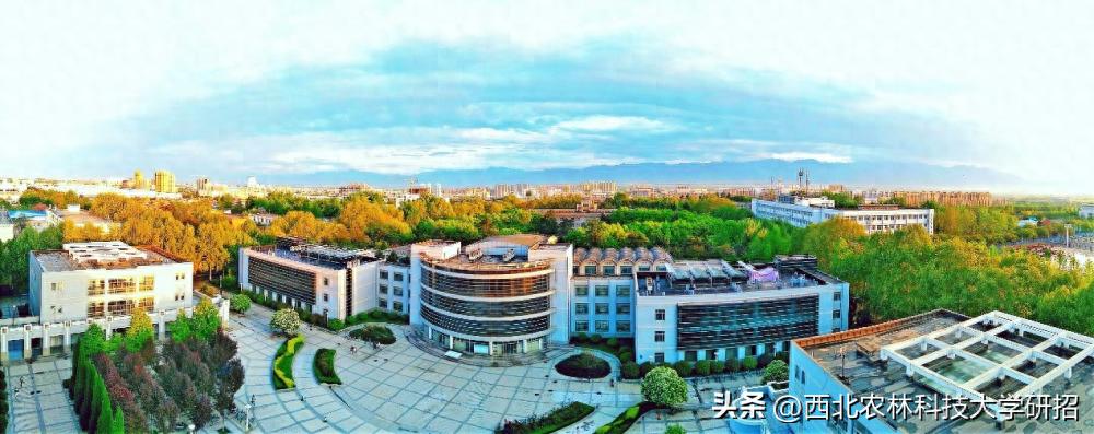 西北农林科技大学研究生录取分数线_西北农林科技大学生命科学学院研究生录取分数线_西北农林科技大学