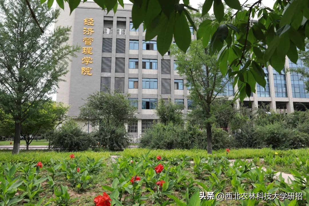 西北农林科技大学生命科学学院研究生录取分数线_西北农林科技大学研究生录取分数线_西北农林科技大学