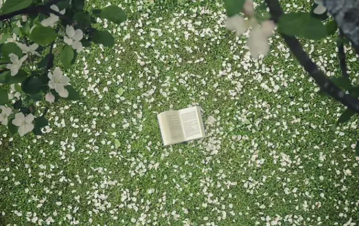 传播学经典_ 传播学必读书籍推荐 _