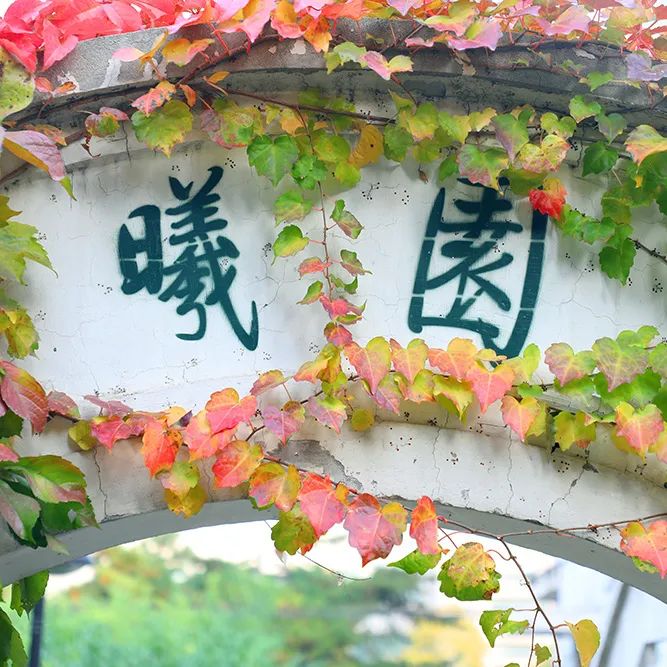 北京师范大学校友_张明校友访谈_北京师范大学优秀校友事迹