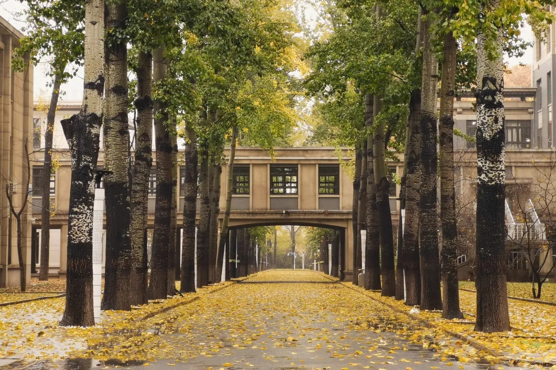北航航空航天工程学科_北京航空航天大学学生_北京航空航天大学学科排名
