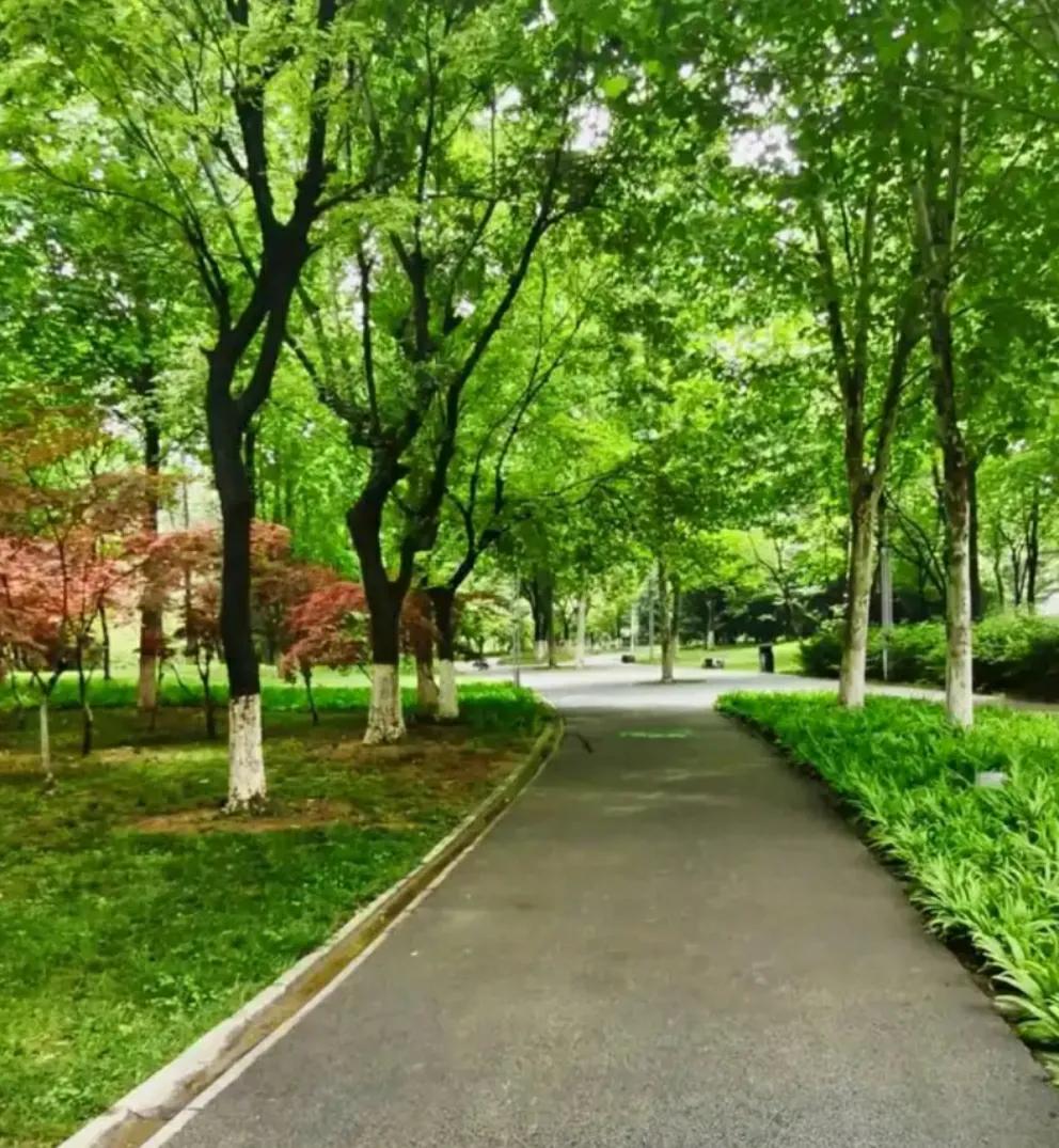 绿色发展与经济双赢_<a href="https://huanjingfa.cn">环境法</a>可持续发展_环境与民生福祉