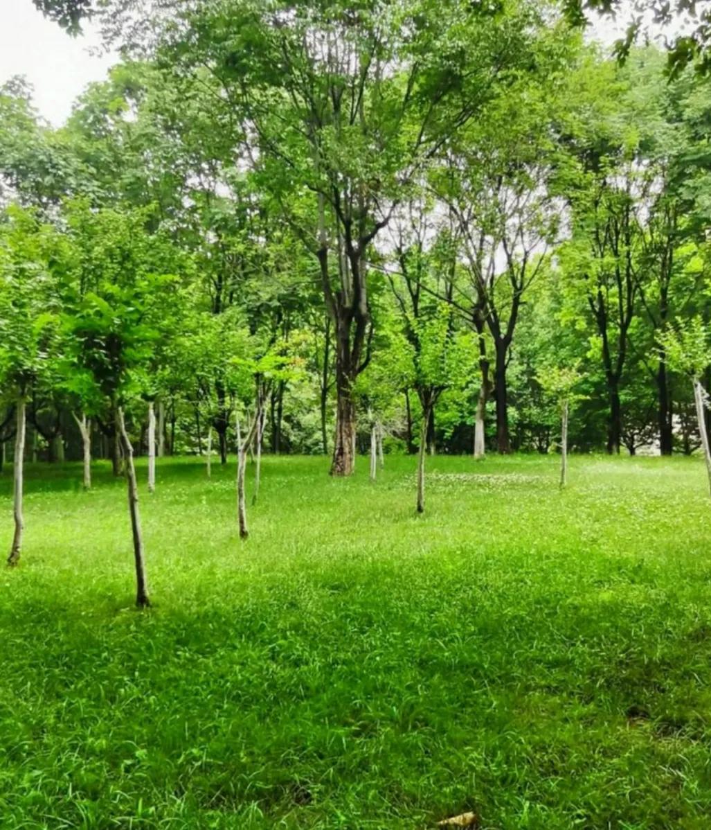 <a href="https://huanjingfa.cn">环境法</a>可持续发展_绿色发展与经济双赢_环境与民生福祉