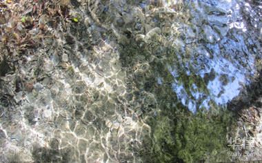 国际<a href="https://huanjingfa.cn">环境法</a>环境侵权界定_国际<a href="https://huanjingfa.cn">环境法</a>_环境侵权行为主体不平等性