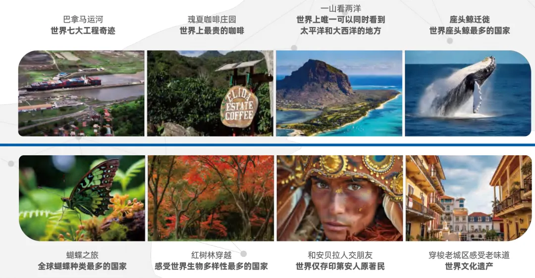 _华侨生联考_ 华侨生联考升学优势 