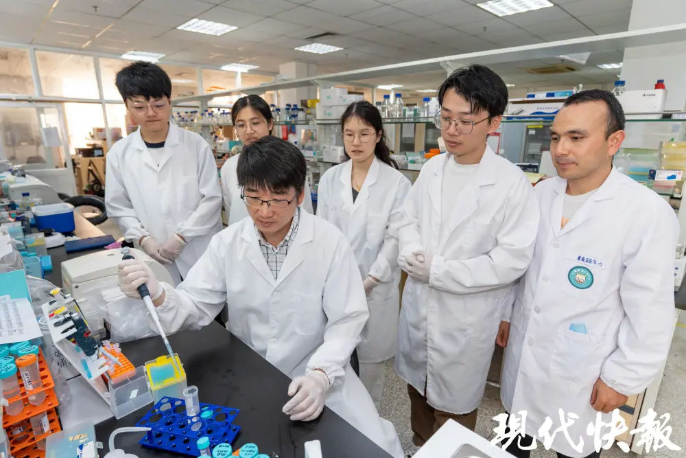 _东南大学团队首创单细胞数字胚胎，破译心脏发育密码_东南大学团队首创单细胞数字胚胎，破译心脏发育密码