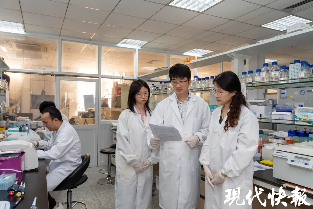东南大学团队首创单细胞数字胚胎，破译心脏发育密码__东南大学团队首创单细胞数字胚胎，破译心脏发育密码