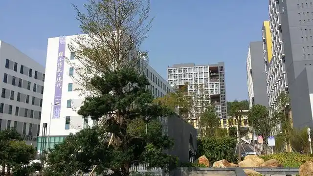 港中大深圳_ 港中大(深圳)校园文化_香港中文大学(深圳)排名