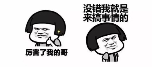 破壁机营养吸收攻略_九阳破壁机哪款最实用_小学生早餐破壁机