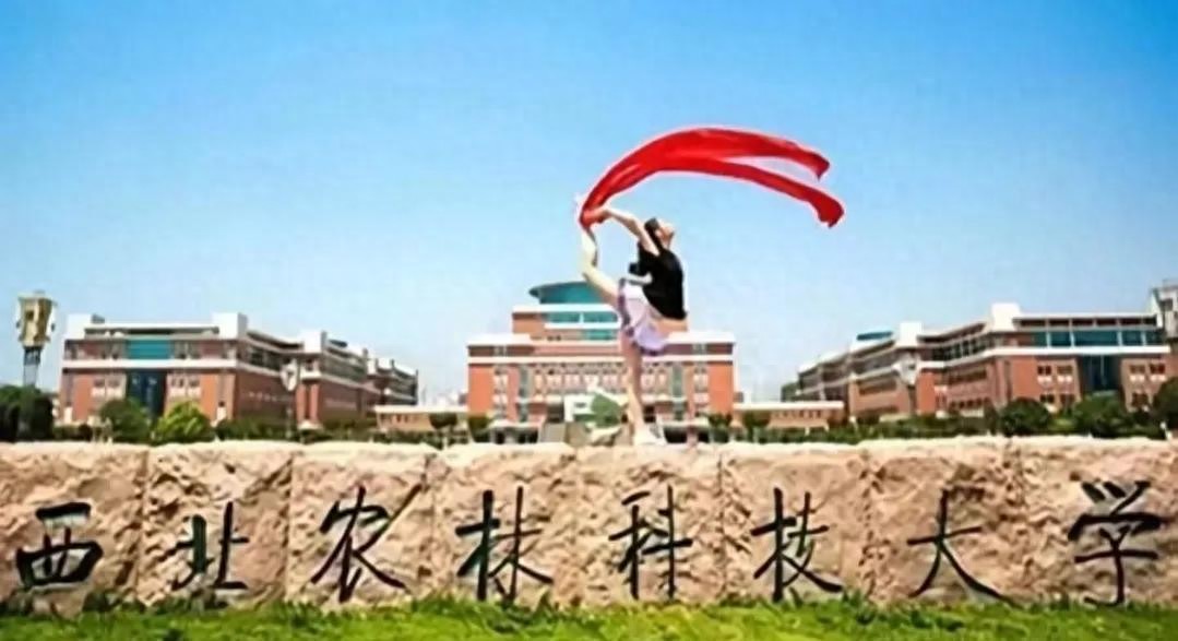 西北农林科技大学_西北农林科技大学录取分数线_西北农林科技大学专业设置