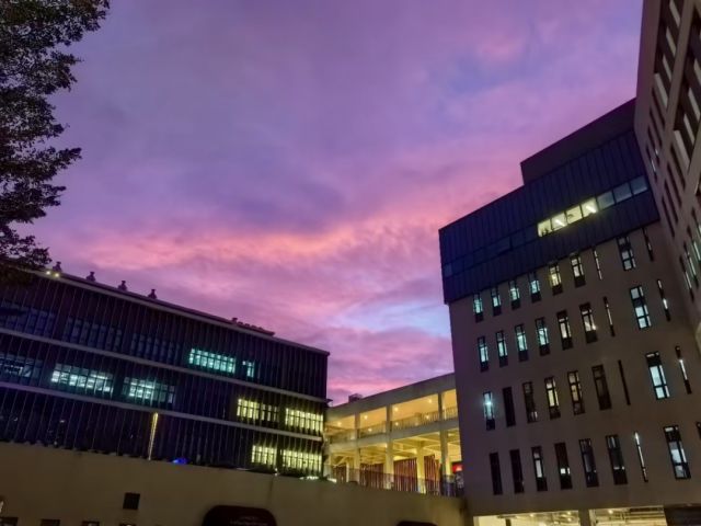 香港中文大学深圳_广东中外合作大学_粤港澳大湾区高校合作