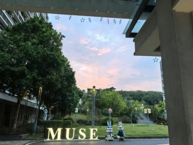 广东中外合作大学_粤港澳大湾区高校合作_香港中文大学深圳